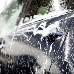 CAR PLUS Shampoo carrocería Automóvil